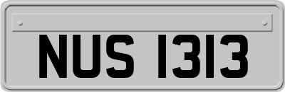 NUS1313