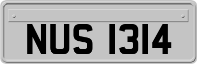 NUS1314
