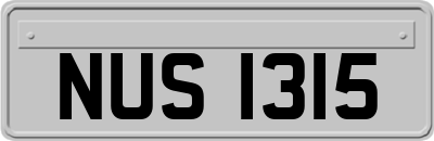 NUS1315