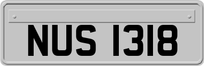 NUS1318