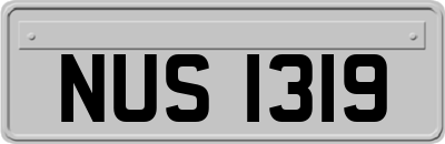 NUS1319