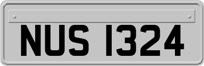NUS1324