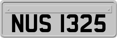 NUS1325