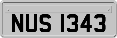 NUS1343