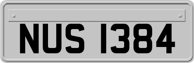 NUS1384