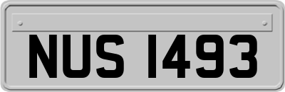 NUS1493