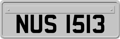 NUS1513