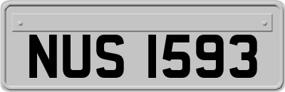 NUS1593
