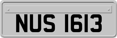 NUS1613