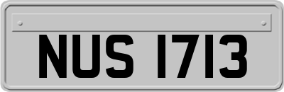 NUS1713
