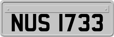 NUS1733