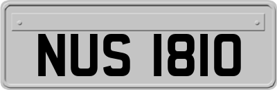 NUS1810