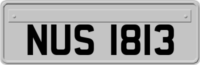NUS1813