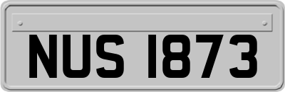 NUS1873