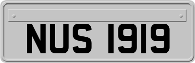 NUS1919