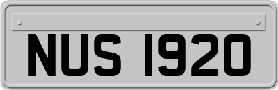 NUS1920