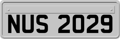 NUS2029