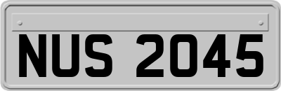 NUS2045