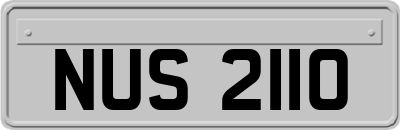 NUS2110