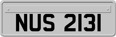 NUS2131
