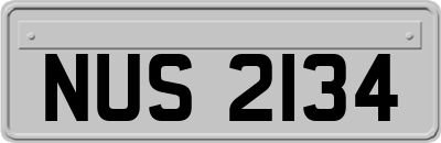 NUS2134