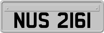 NUS2161