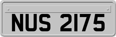 NUS2175