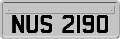 NUS2190