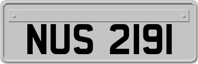 NUS2191