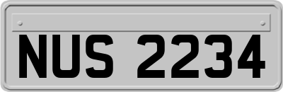 NUS2234