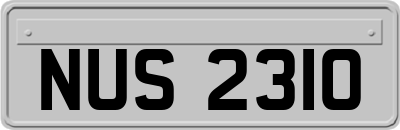 NUS2310