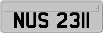NUS2311