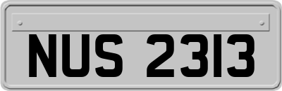 NUS2313