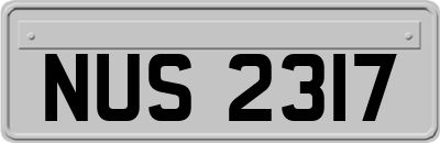 NUS2317