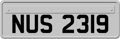 NUS2319