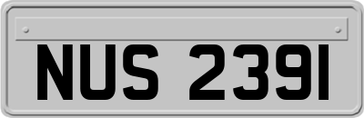 NUS2391