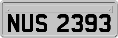 NUS2393