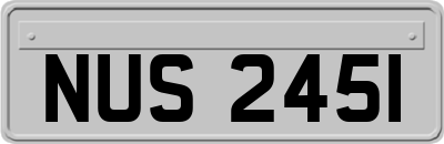NUS2451