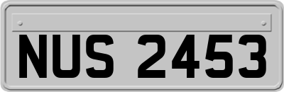 NUS2453