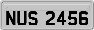 NUS2456