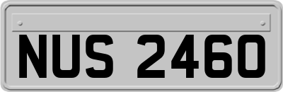 NUS2460