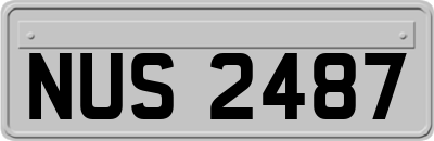 NUS2487