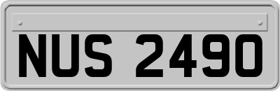 NUS2490
