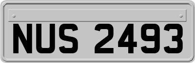 NUS2493