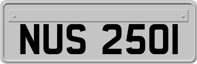 NUS2501