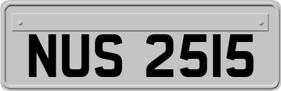 NUS2515