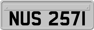 NUS2571