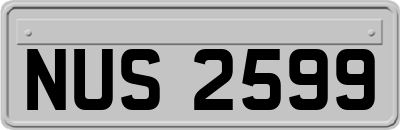 NUS2599