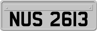 NUS2613
