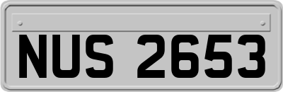 NUS2653